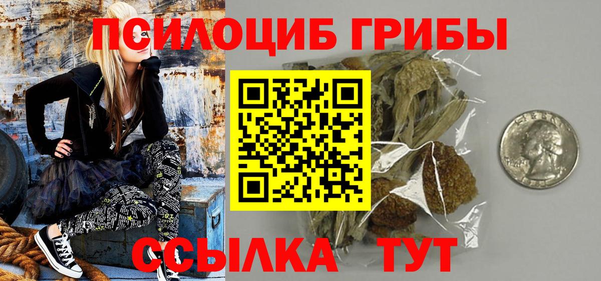 Галлюциногенные грибы Psilocybe Белогорск